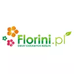 Florini
