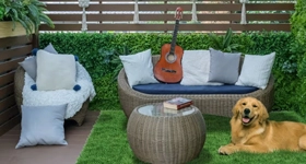 Temu Temu promocja na kategorię ogród do - 70%