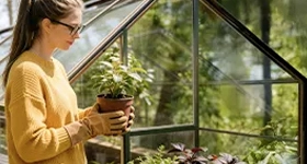 Erli Promocja - 30% na artykuły ogrodowe Plonos na Erli.pl