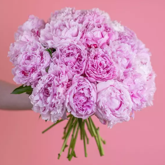 euroflorist - bukiet kwiatów