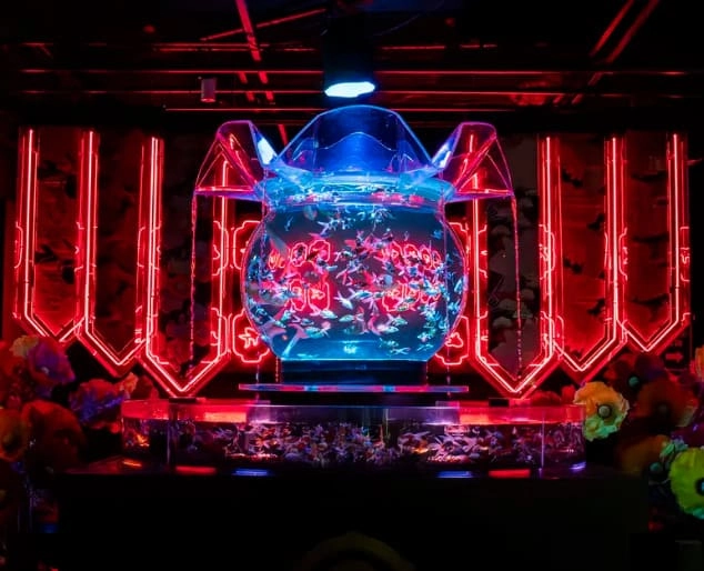 Akwarium do zwiedzania w Japonii podświetlone neonami