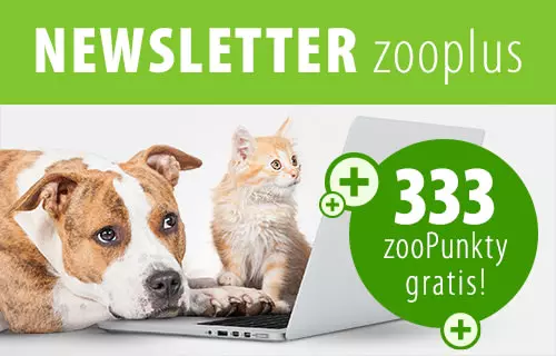 zooplus newsletter