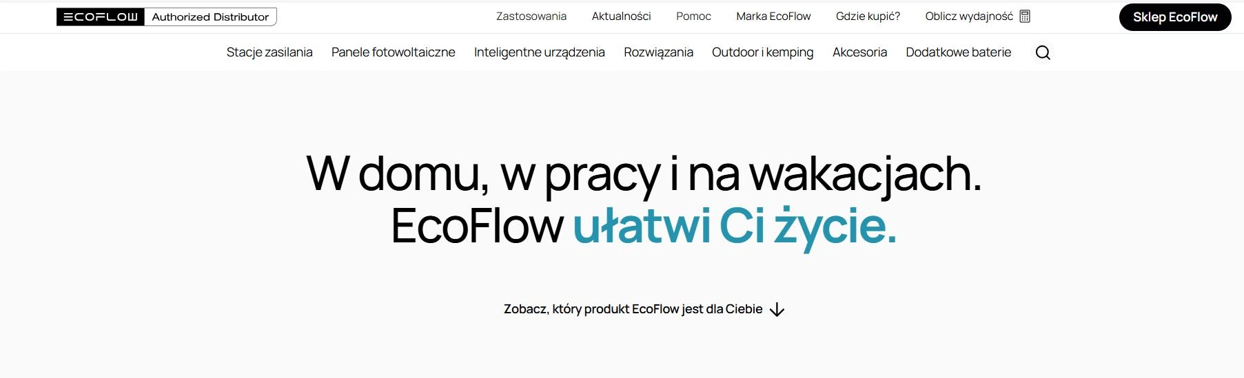 Strona internetowa sklepu