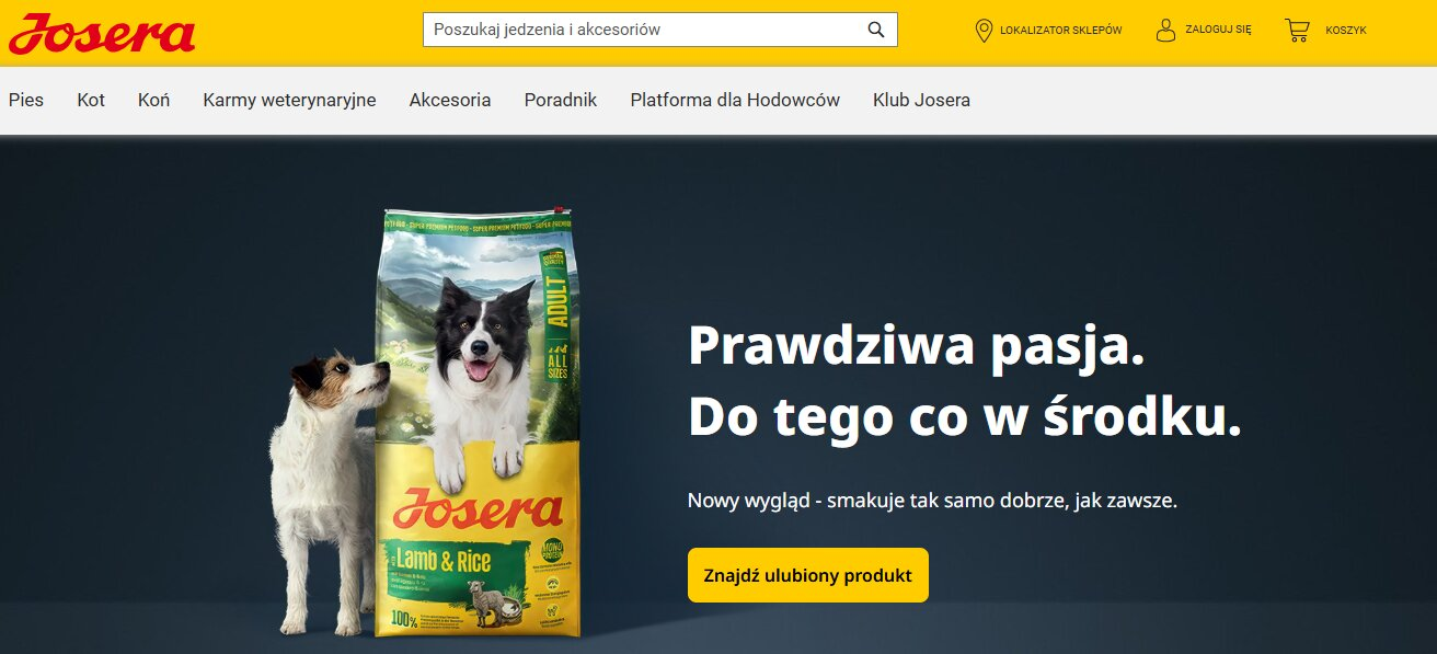 Strona internetowa sklepu