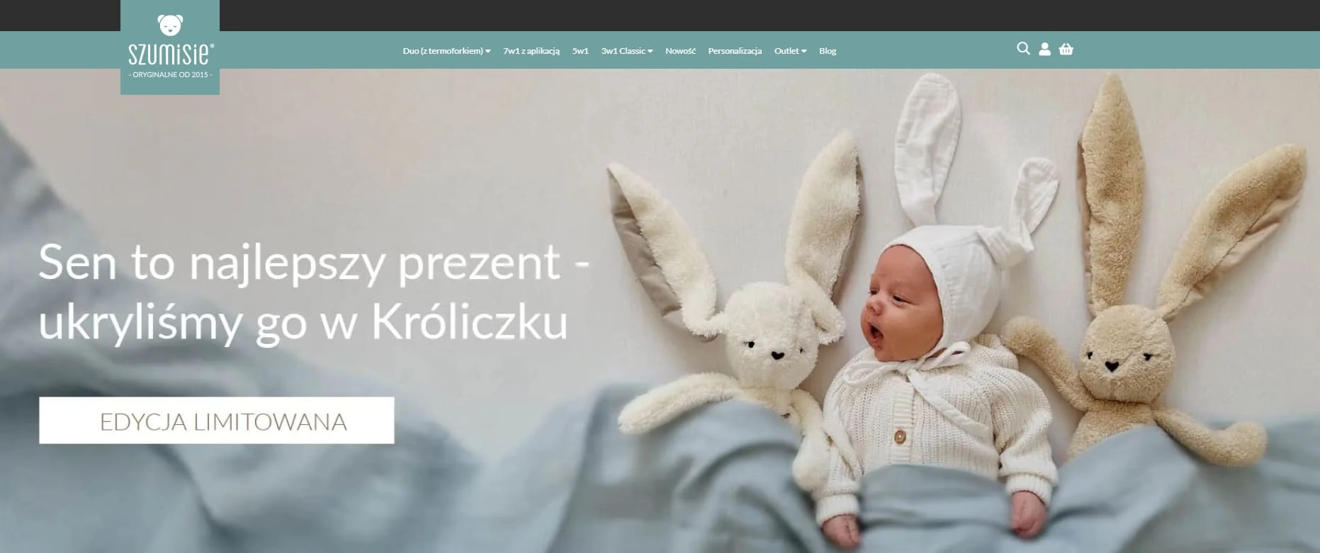 Strona internetowa sklepu