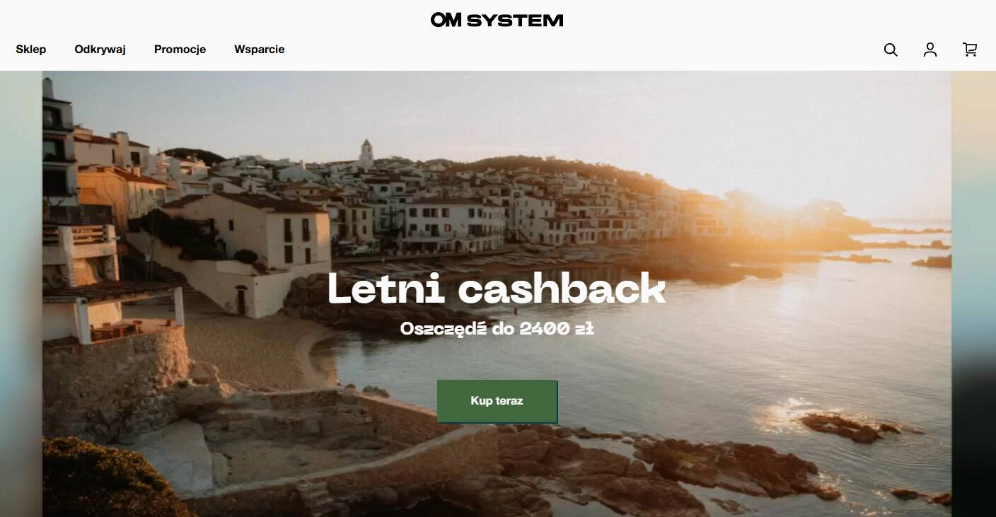 Strona internetowa sklepu