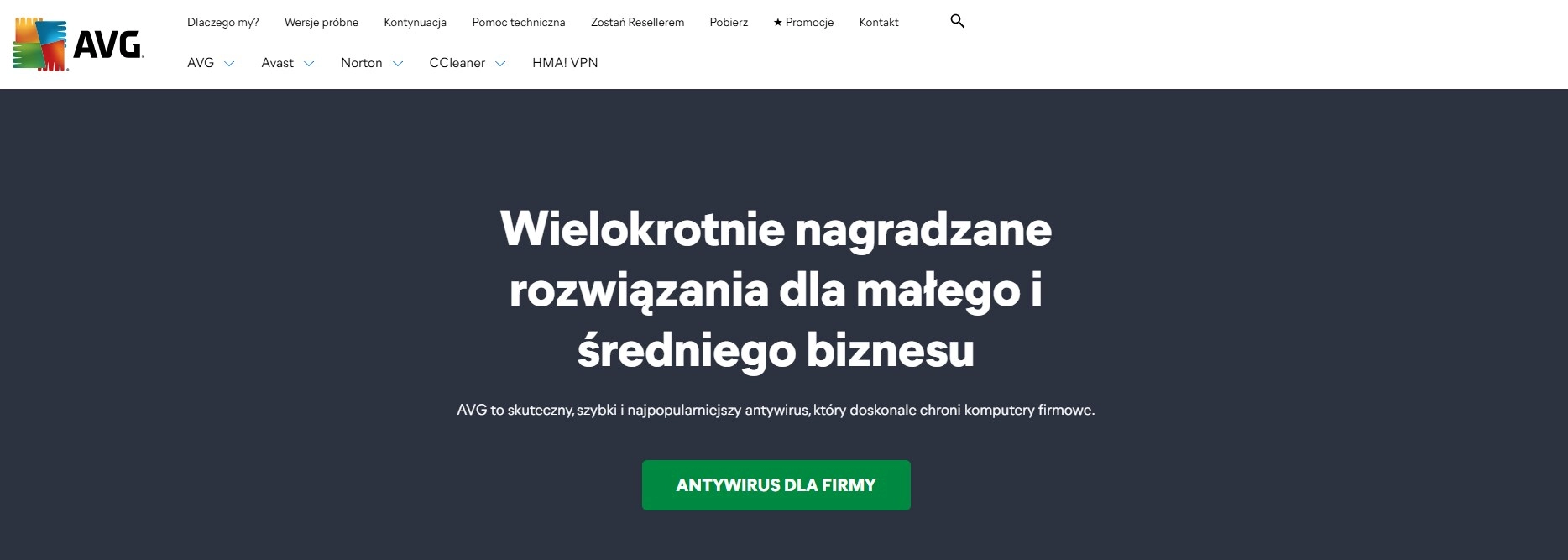 Strona interentowa sklepu