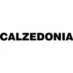Wszystkie promocje Calzedonia