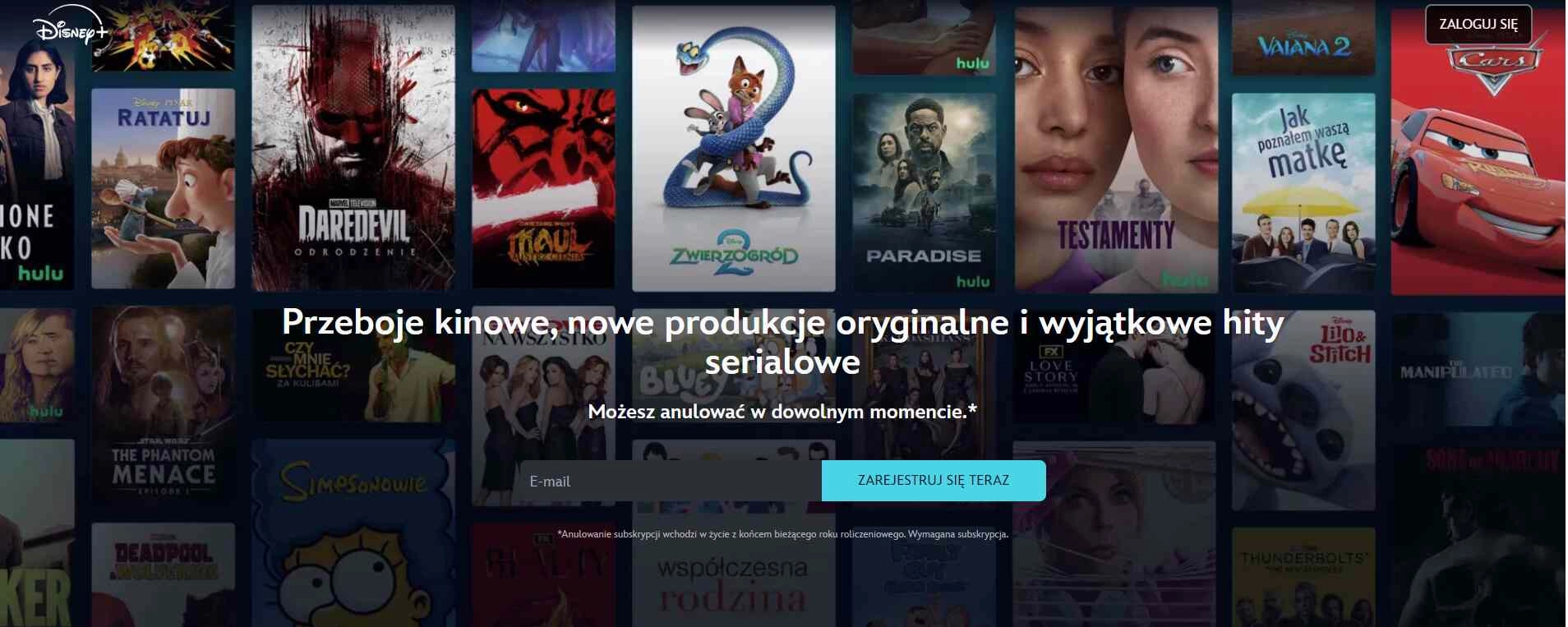 Strona internetowa sklepu