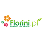 Florini