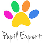 Pupil Expert