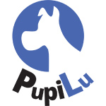 Pupilu